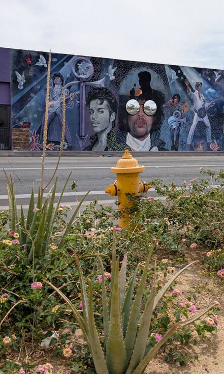 Op de foto zie je de muurschildering van Prince in Arizona