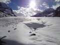 Athabasca Gletsjer