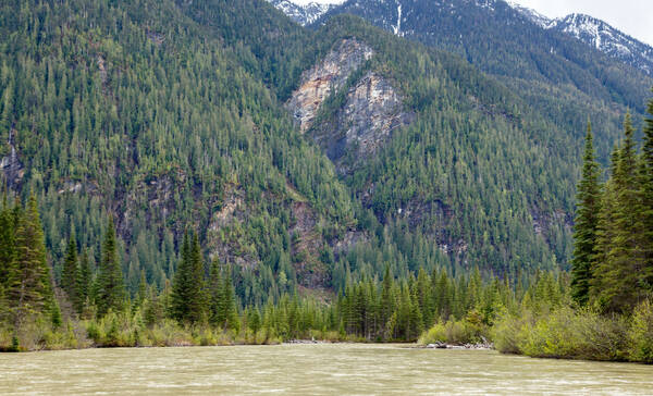 Mud Lake Delta, British Columbia