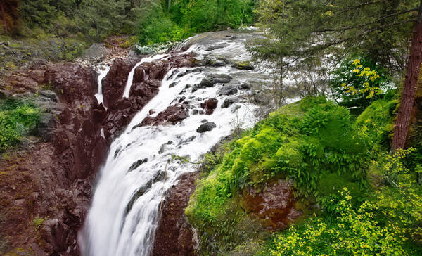 Provinciaal park Englishman River Falls op Vancouver Island