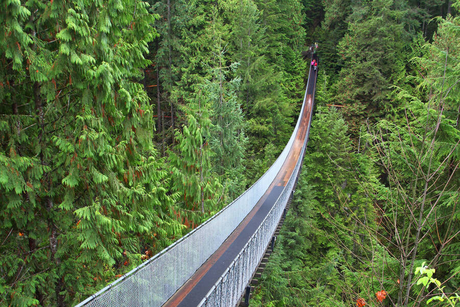 Vancouver, Capilano Suspension Bridge is een van de beroemdste bezienswaardigheden