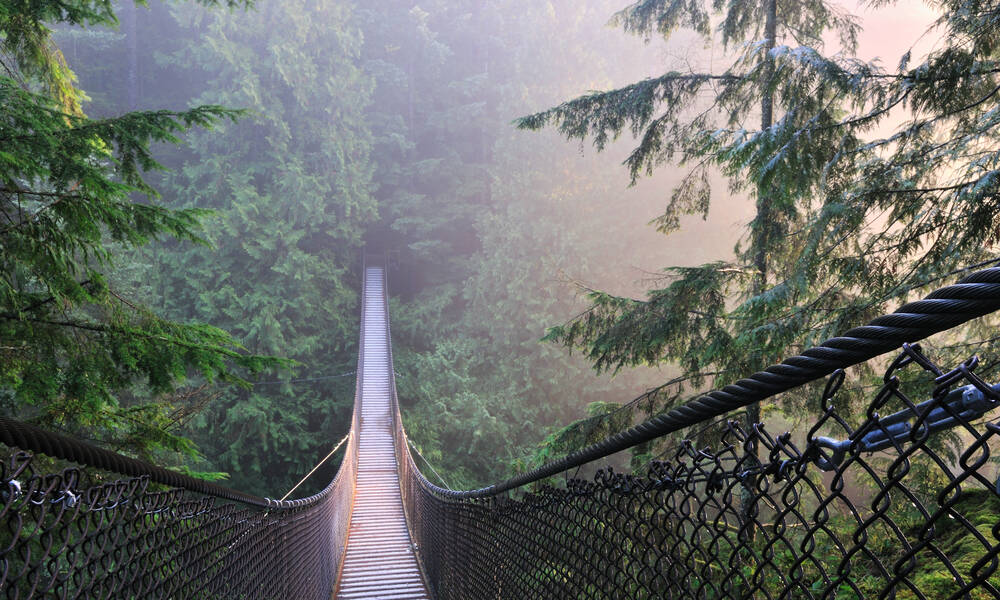 Lynn Canyon Suspension Bridge, Vancouver