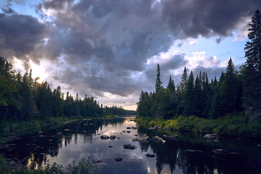 Miramichi