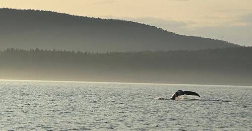 Tadoussac