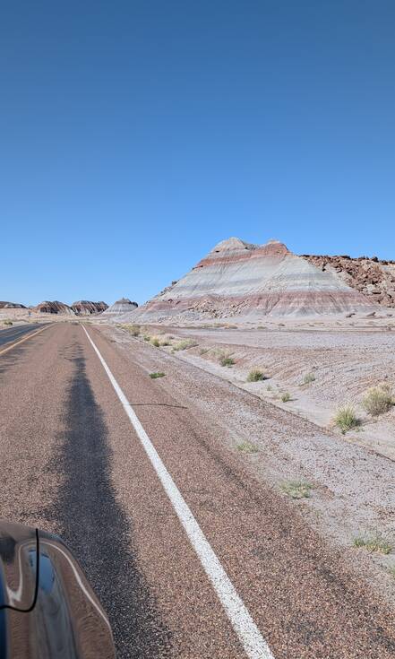 Op de foto zie je Petrified Forest National Park tijdens de autorondreis van Alie