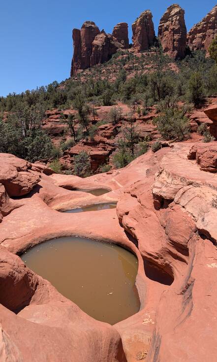 Op de foto zie je de rode omgeving van de Soldier Pass Trailhead in Sedona