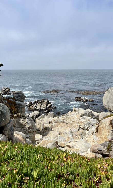 Pebble Beach - Bird Rock