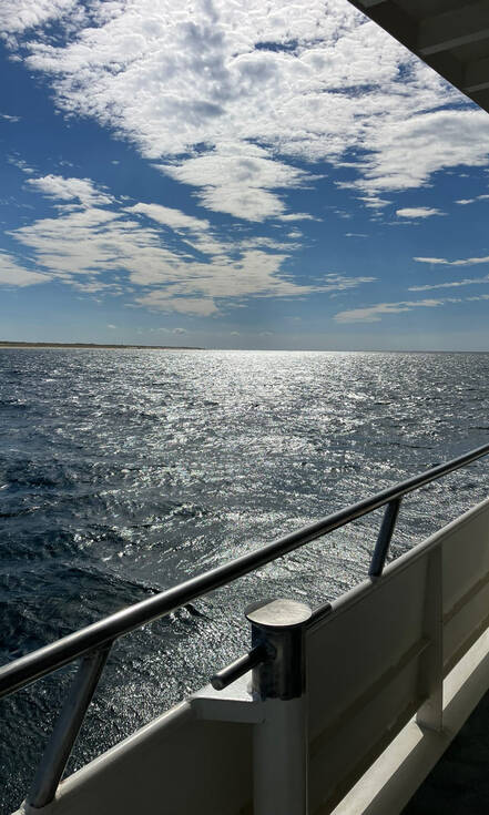 Whale Watch bij Cape Cod