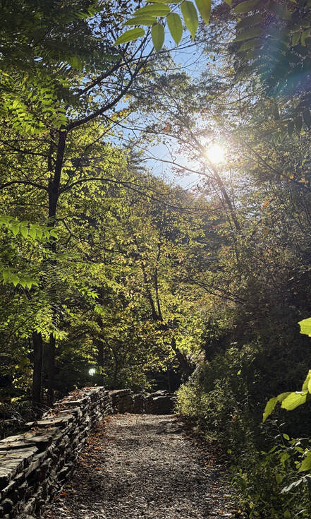 Op de foto zie je Watkins Glen State Park