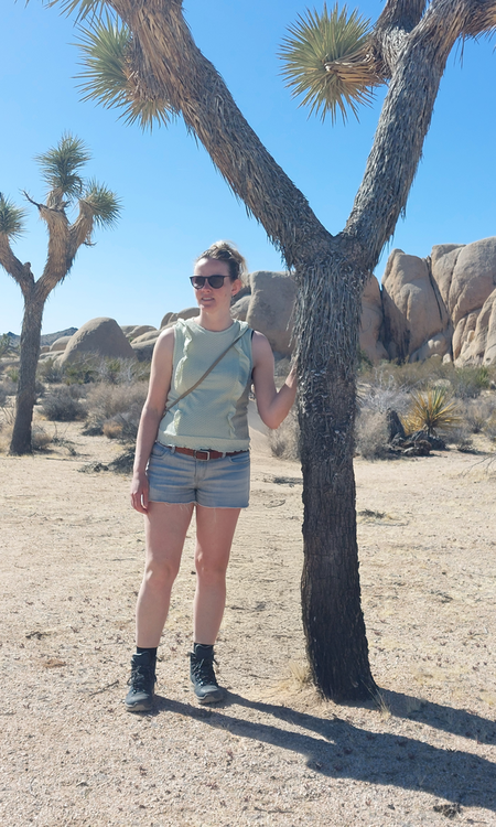Wandelen in Joshua Tree National Park