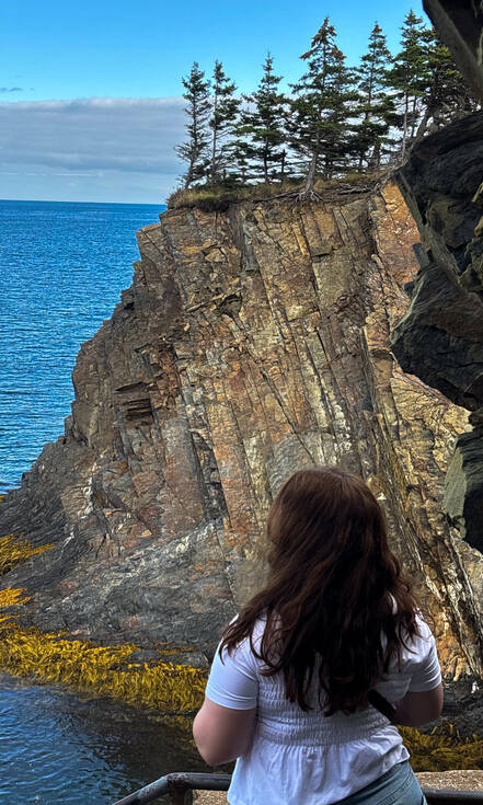 Op de foto zie je uitzicht in Ovens Natural Park