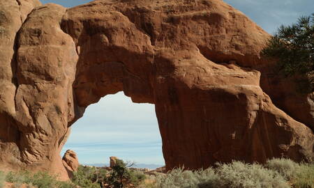 Pine Tree Arch Utah