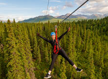 Denali Park Zipline Adventure