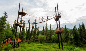 Denali Park Zipline Adventure Denali Park Zipline Adventure