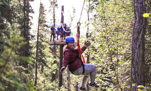 Denali Park Zipline Adventure Denali Park Zipline Adventure