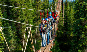 Denali Park Zipline Adventure Denali Park Zipline Adventure