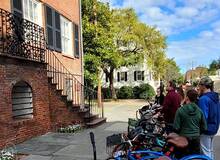 Savannah fiets