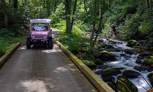 Pink Jeep Roaring Fork Tour