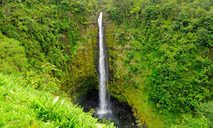 Hawaii Akaka Watervallen