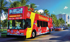 Miami tour hop on hop off bus
