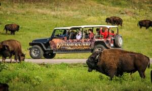 Buffalo Safari Jeep Tour
