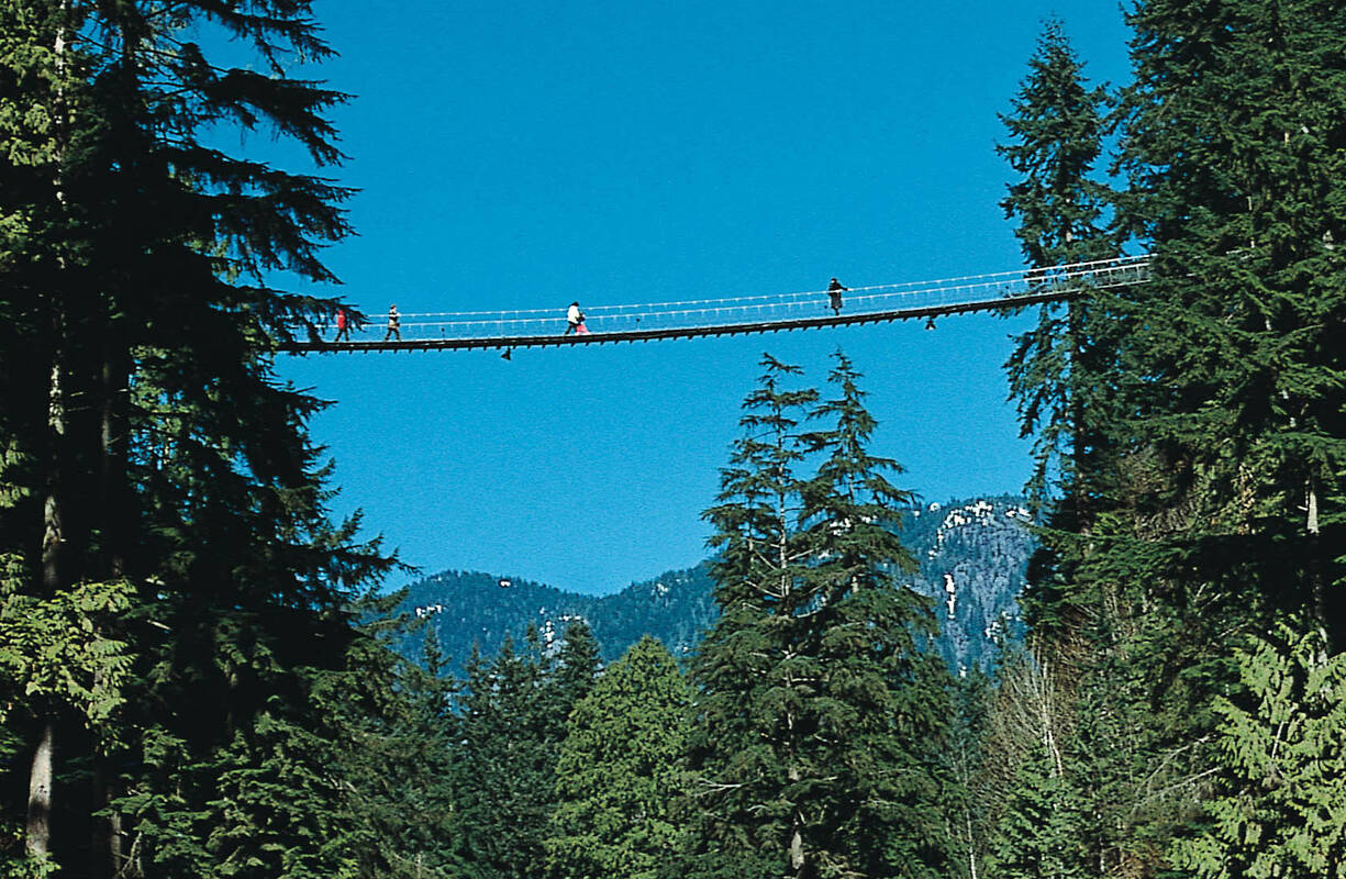 Afbeeldingsresultaat voor capilano suspension bridge