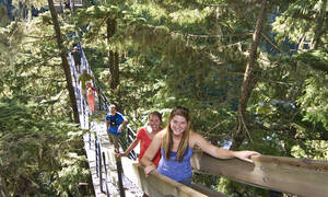 TreeTrek Canopy Walk, Whistler