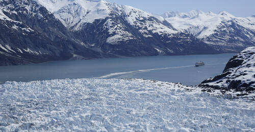 Cruise Glacier Bay