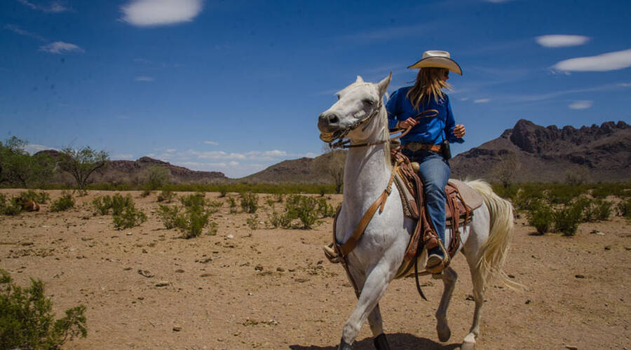 White Stallion Ranch Arizona