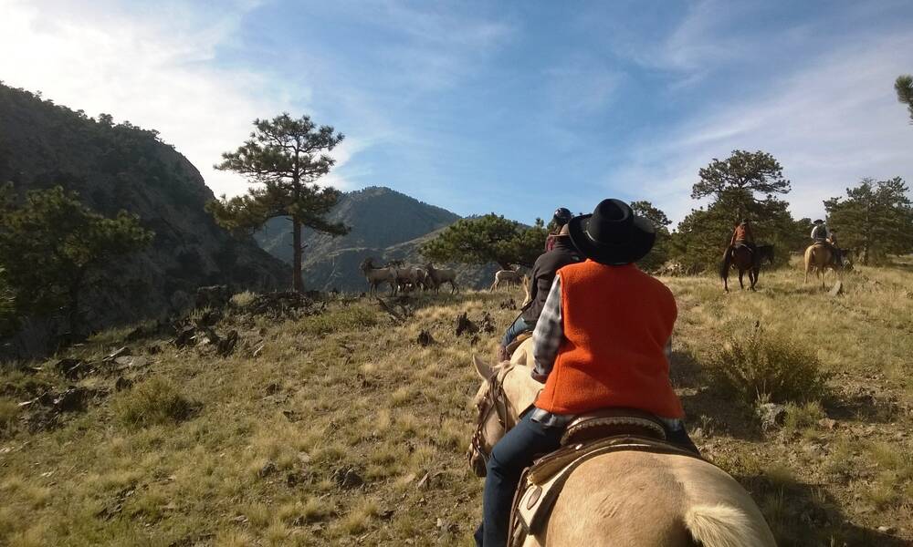 Paardrijden in Colorado op een ranch in de Rocky Mountains