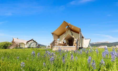Glamping in West-Yellowstone