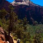 Kayenta Trail Zion Canyon
