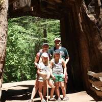 Sequoia Boom- Tuolomne grove