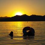 Zwemmen in Lake Havasu bij zondsondergang
